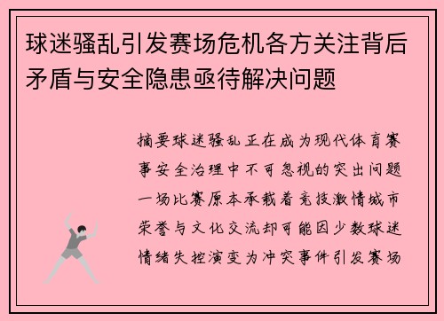 球迷骚乱引发赛场危机各方关注背后矛盾与安全隐患亟待解决问题