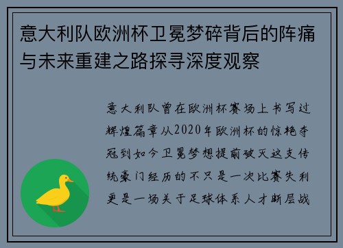 意大利队欧洲杯卫冕梦碎背后的阵痛与未来重建之路探寻深度观察